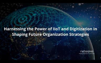 Harnessing the Power of IIoT and Digitization in Shaping Future Organization Strategies