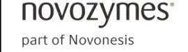 novozyme=es logo
